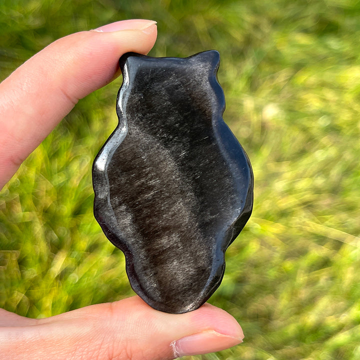 Natural Silver Obsidian Owl With Skull