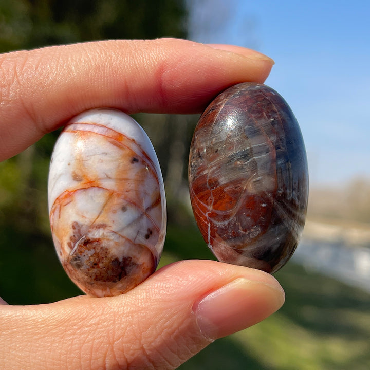 Natural Ocean Jasper Tumbled Stones