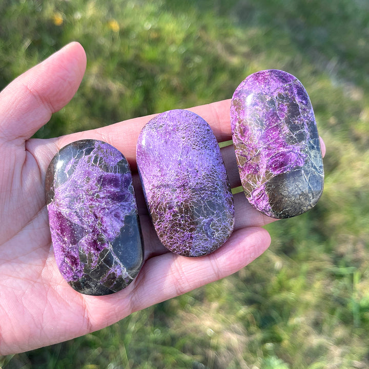 Natural Crystal Carving Atlantisite Palm Stone