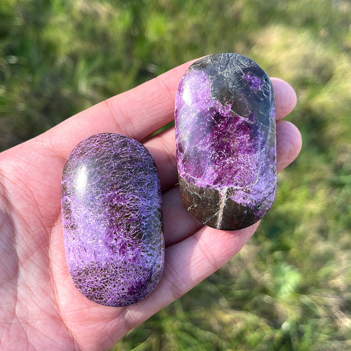 Natural Crystal Carving Atlantisite Palm Stone