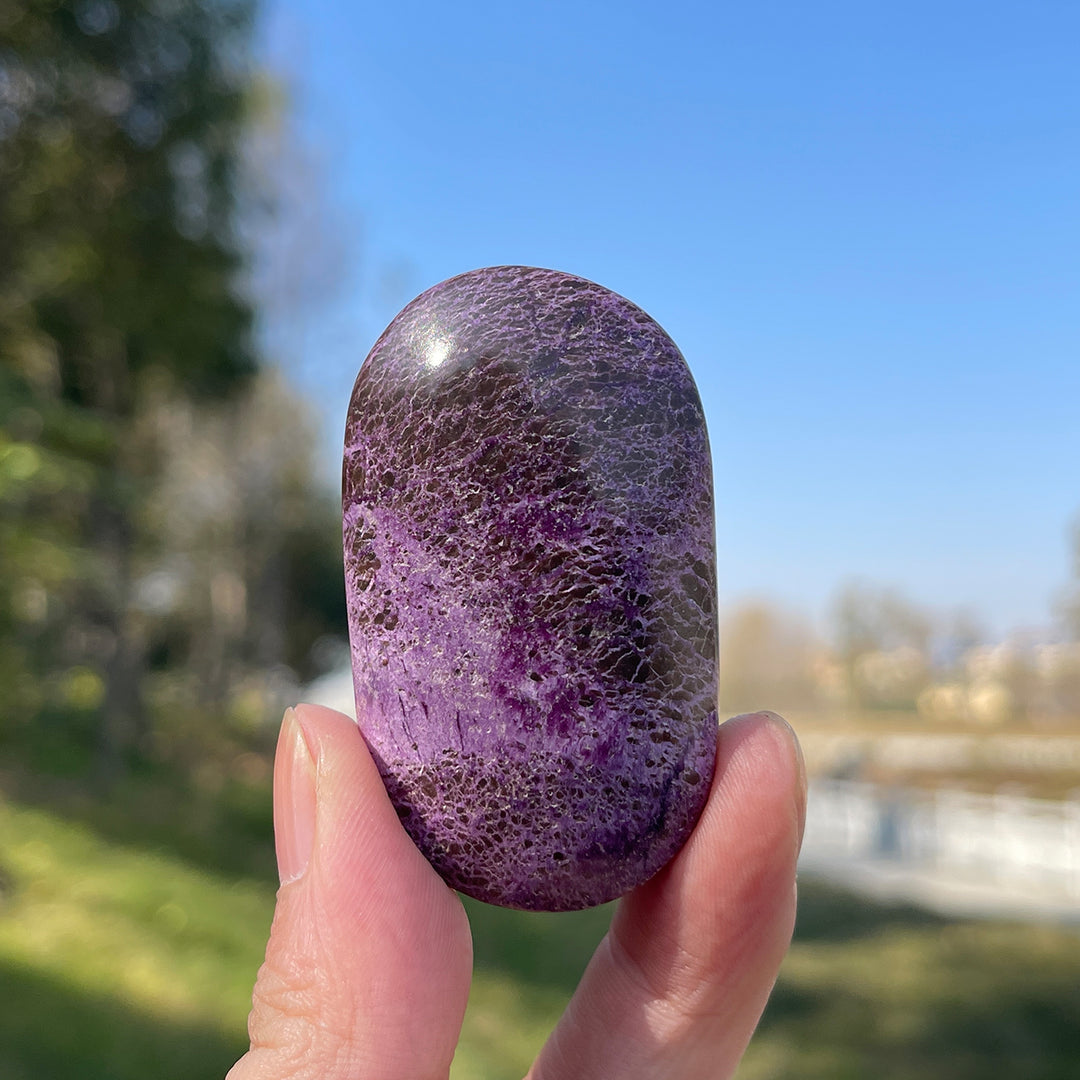 Natural Crystal Carving Atlantisite Palm Stone