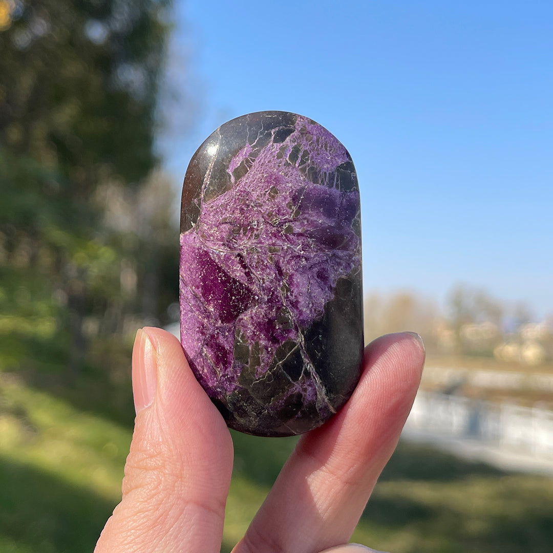 Natural Crystal Carving Atlantisite Palm Stone