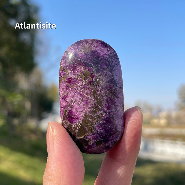 Natural Crystal Carving Atlantisite Palm Stone