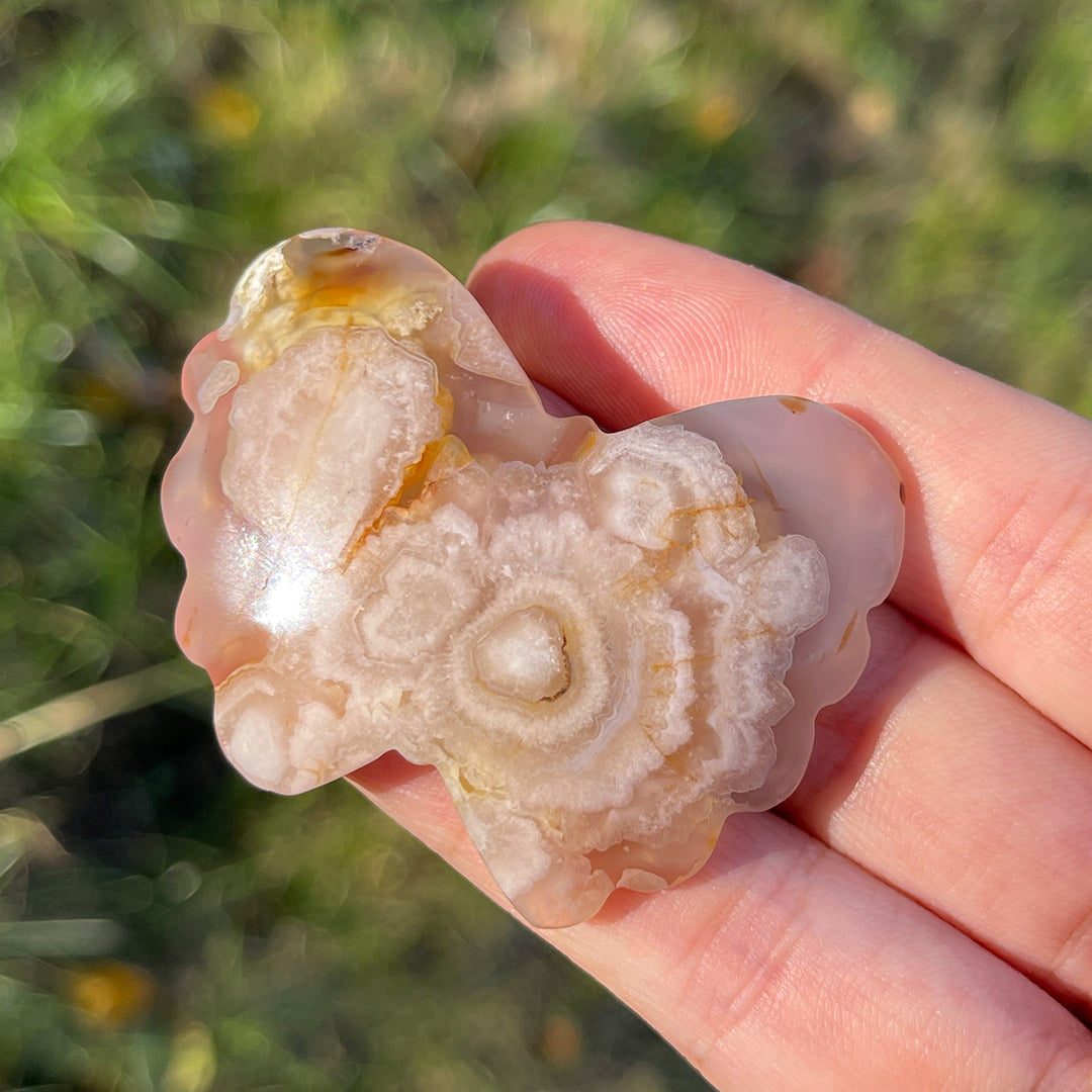 Natural Crystal Carving Flower Agate Butterfly