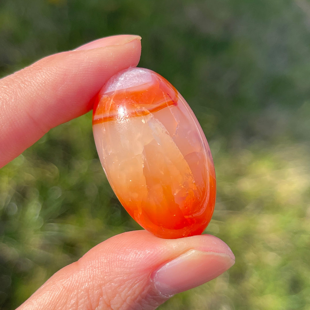 Natural Carnelian Tumbled Stones