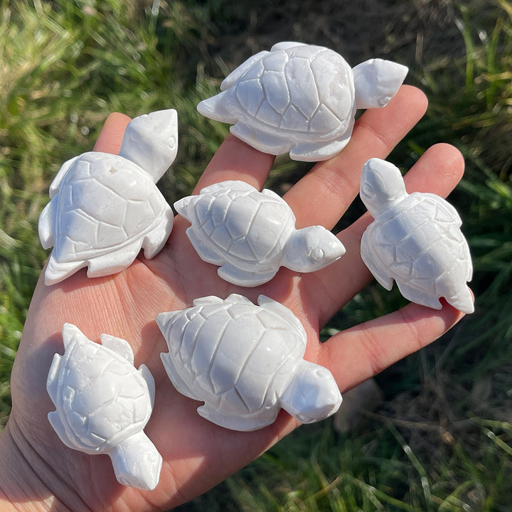 Natural Crystal Carving White Agate Turtle