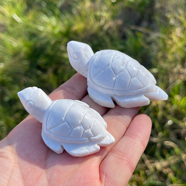 Natural Crystal Carving White Agate Turtle