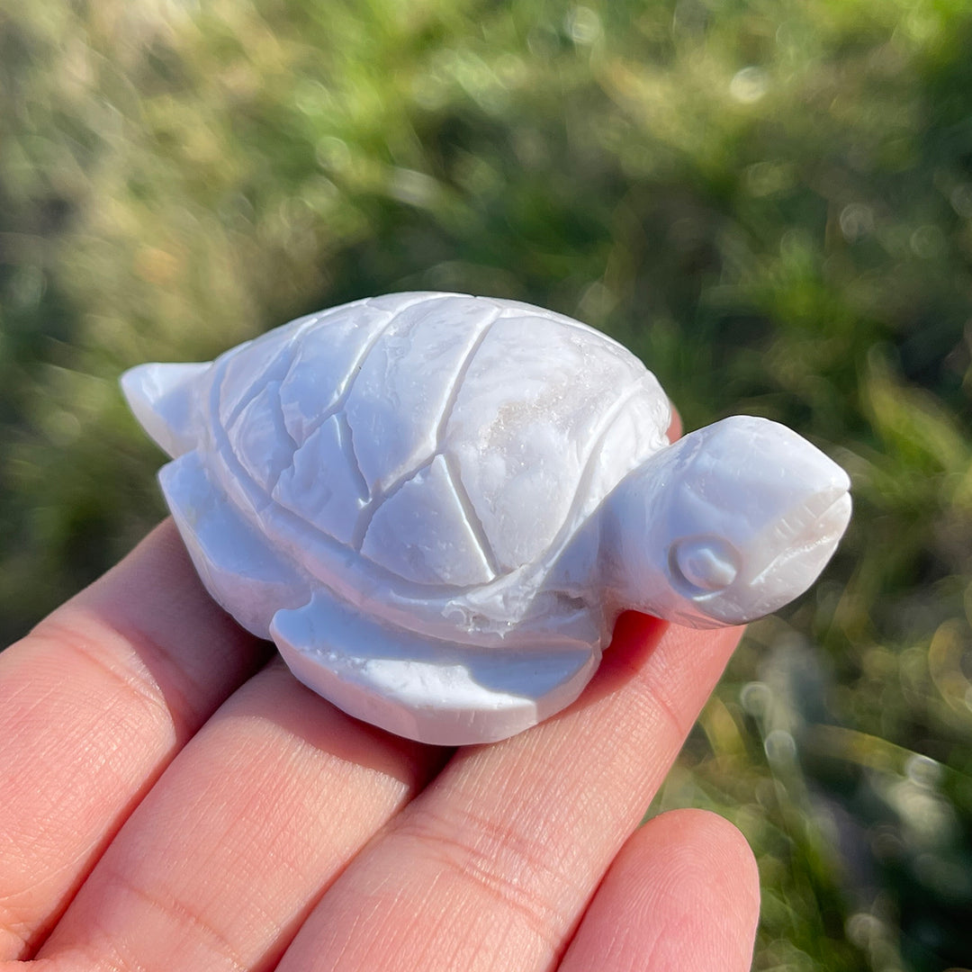 Natural Crystal Carving White Agate Turtle