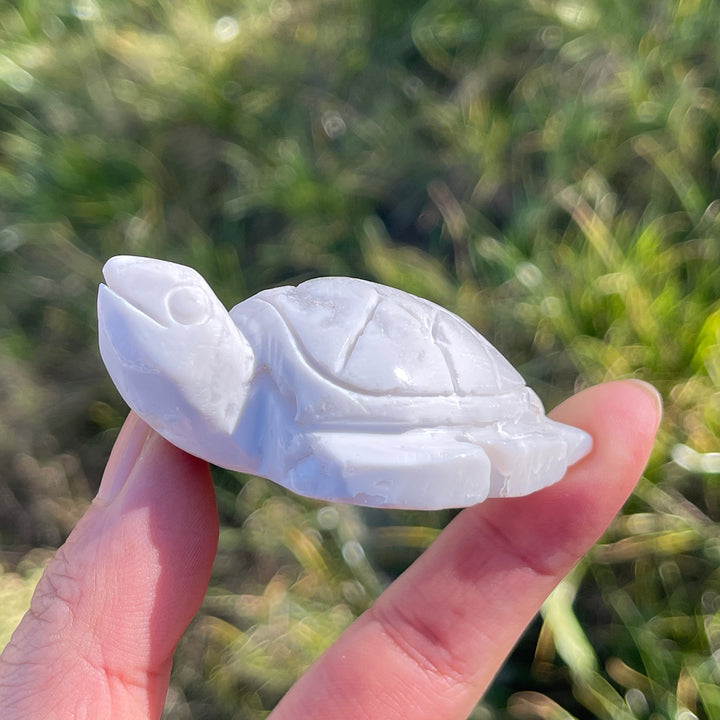 Natural Crystal Carving White Agate Turtle