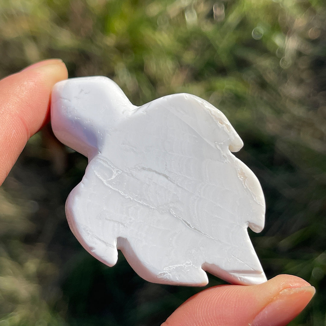 Natural Crystal Carving White Agate Turtle