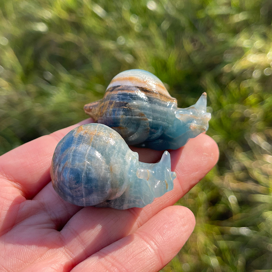 Natural Lemurian Aquatine Calcite Snail
