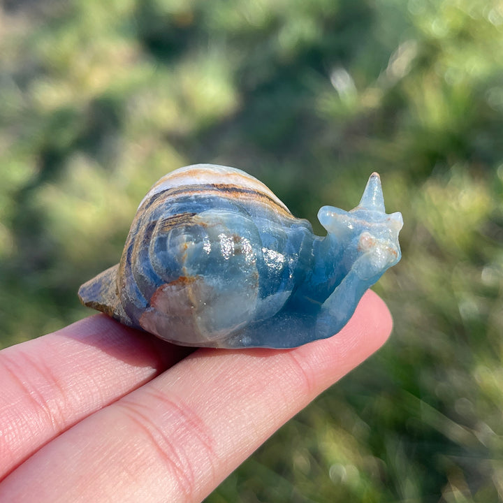 Natural Lemurian Aquatine Calcite Snail