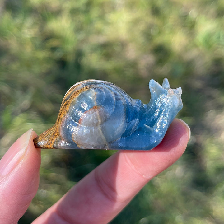 Natural Lemurian Aquatine Calcite Snail