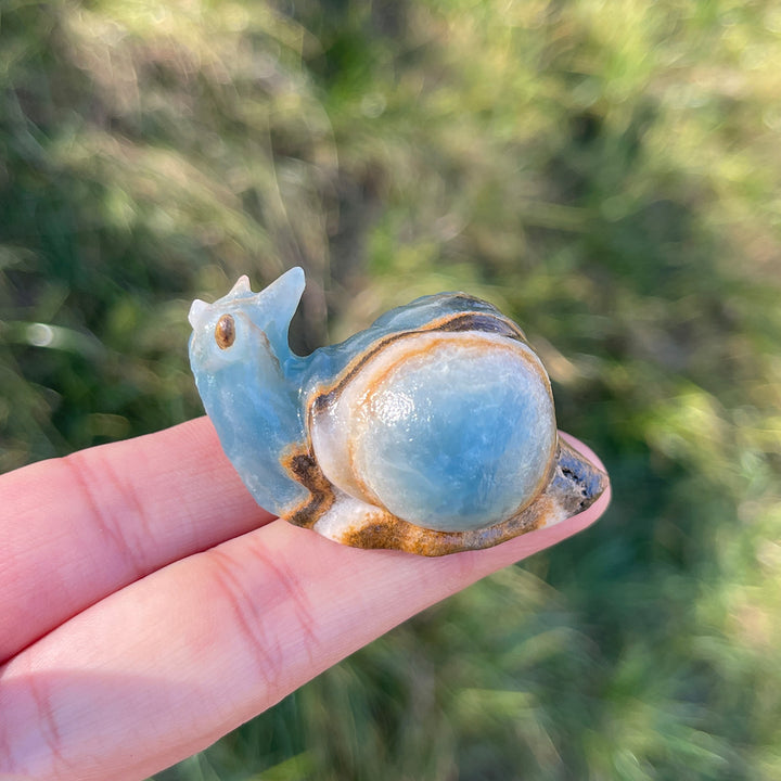 Natural Lemurian Aquatine Calcite Snail