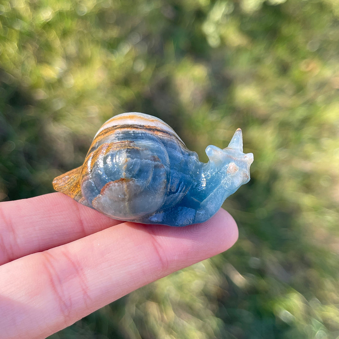 Natural Lemurian Aquatine Calcite Snail