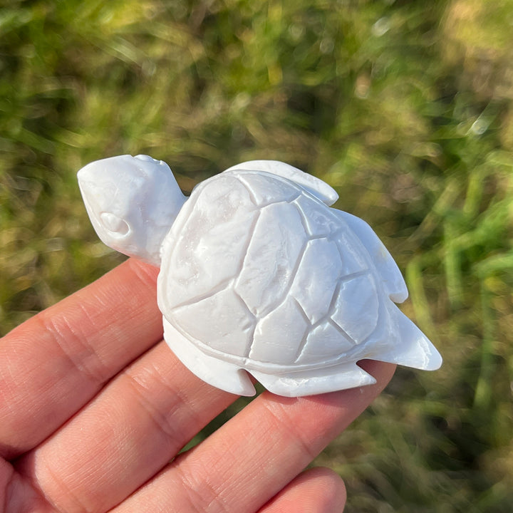 Natural Crystal Carving White Agate Turtle
