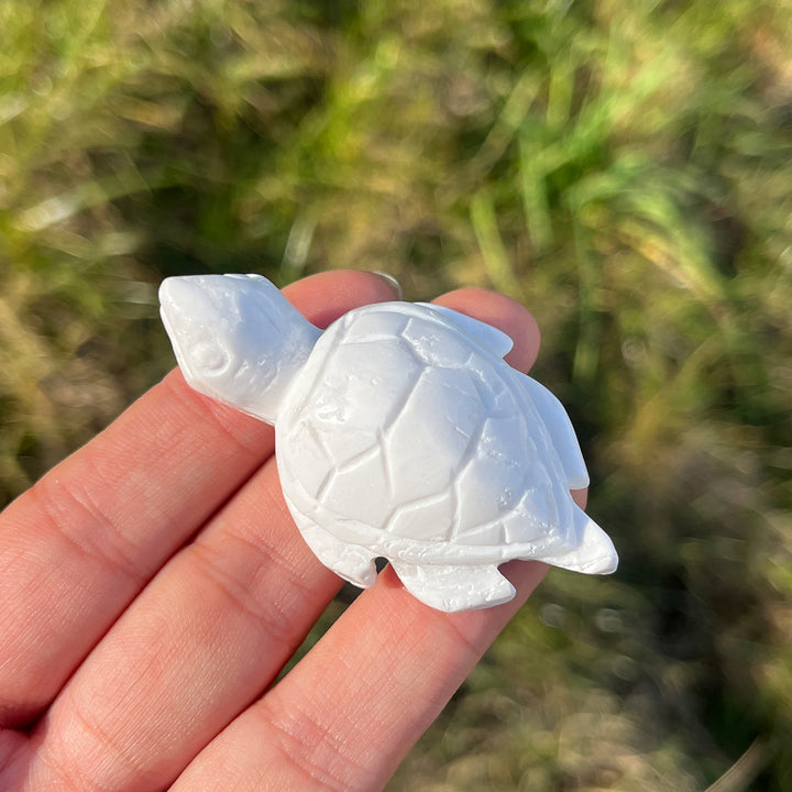 Natural Crystal Carving White Agate Turtle