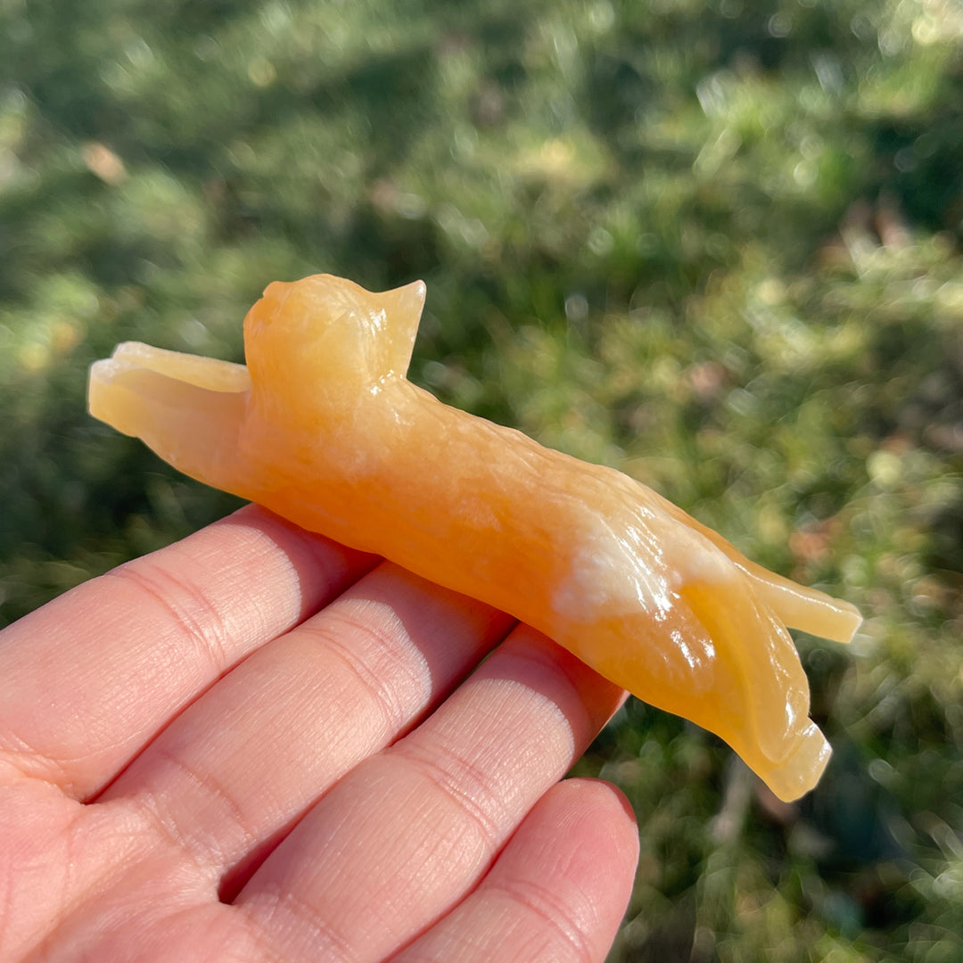 Natural Yellow Calcite Long Lying Cat