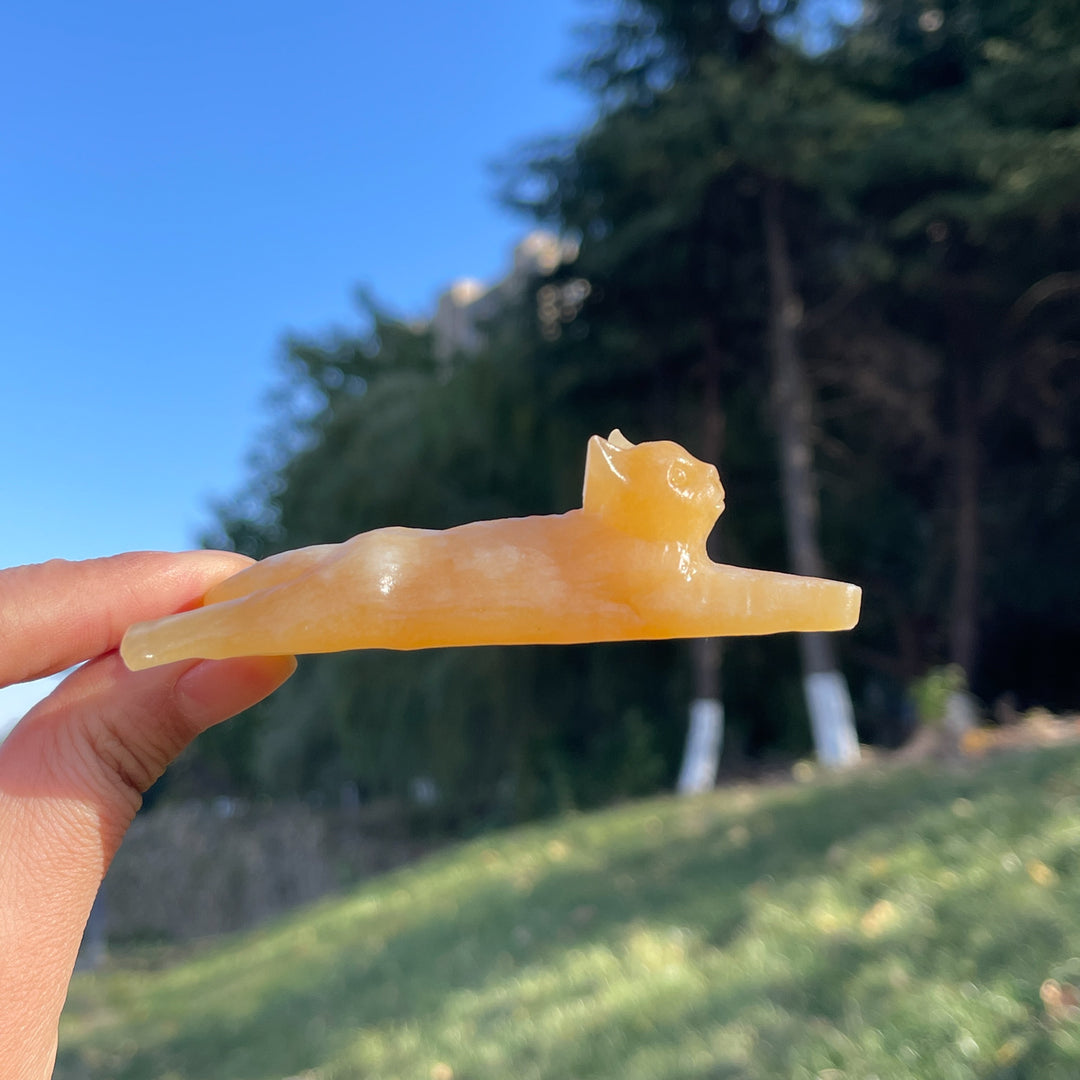 Natural Yellow Calcite Long Lying Cat