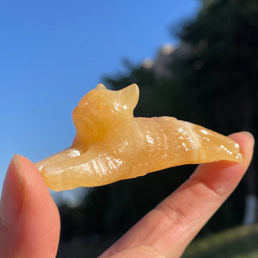 Natural Yellow Calcite Long Lying Cat