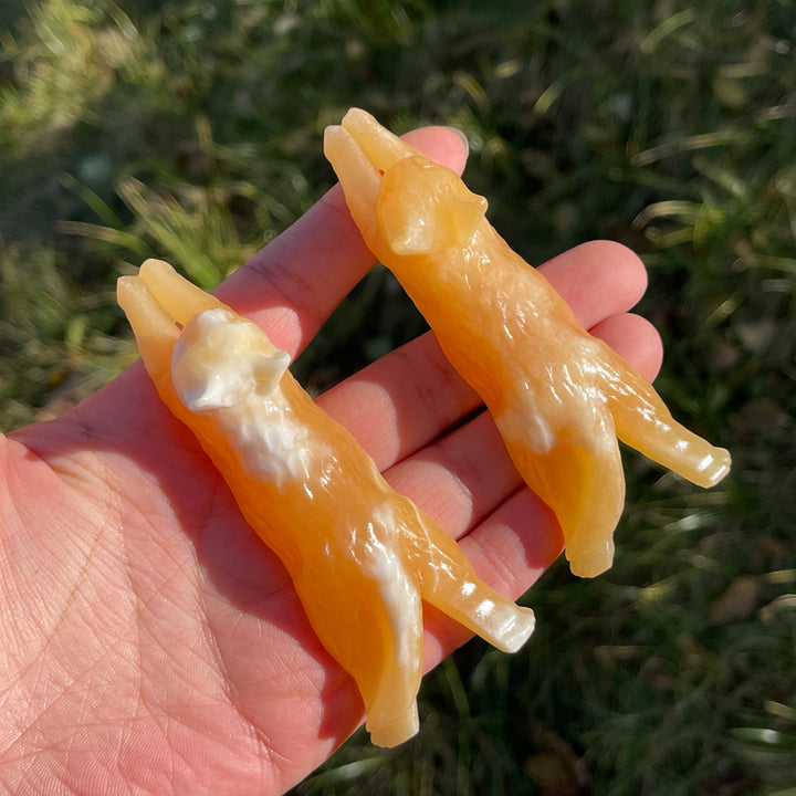Natural Yellow Calcite Long Lying Cat