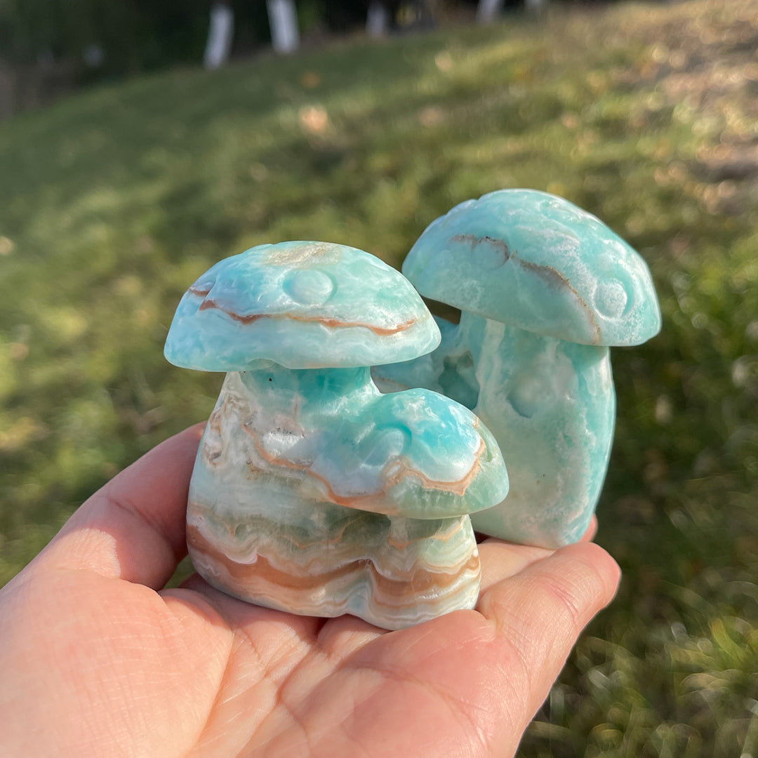 Natural Hemimorphite Mushroom