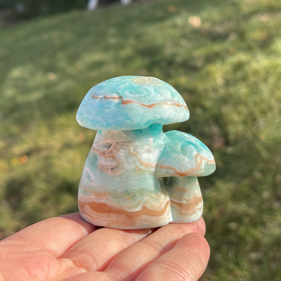 Natural Hemimorphite Mushroom