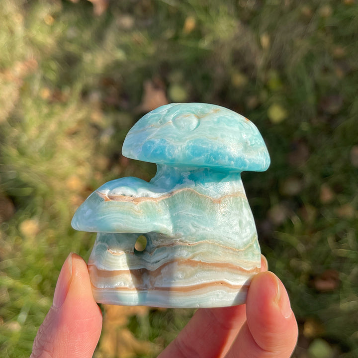 Natural Hemimorphite Mushroom