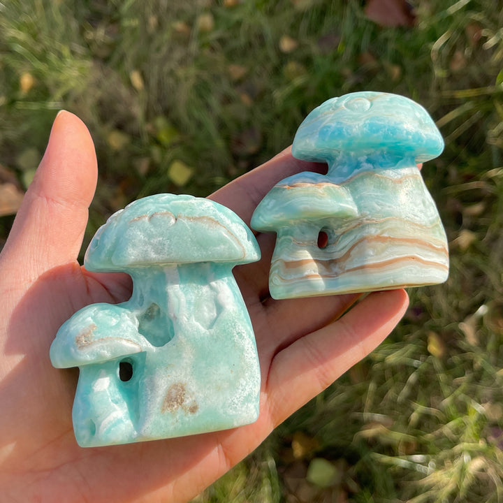 Natural Hemimorphite Mushroom