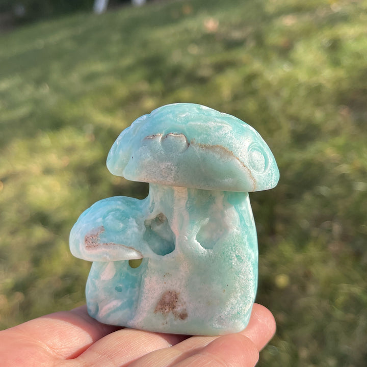 Natural Hemimorphite Mushroom