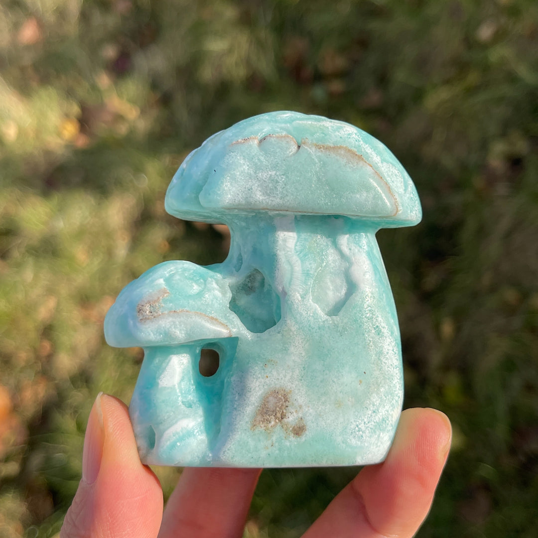 Natural Hemimorphite Mushroom