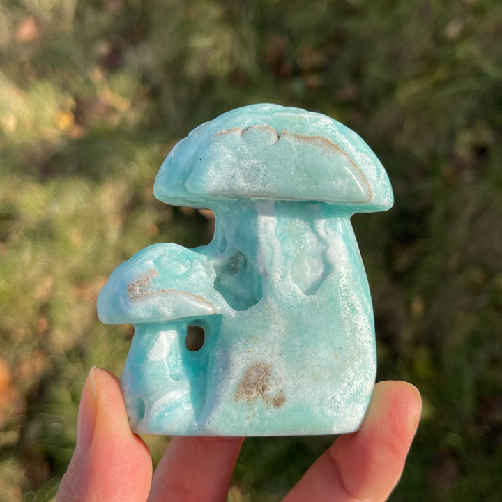 Natural Hemimorphite Mushroom