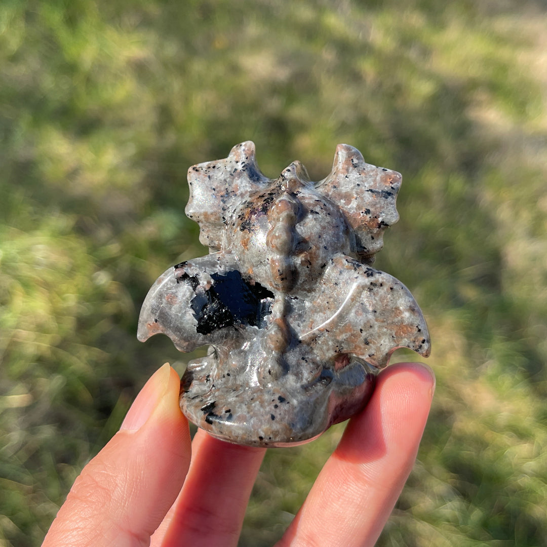 Natural Seated Baby Dragon