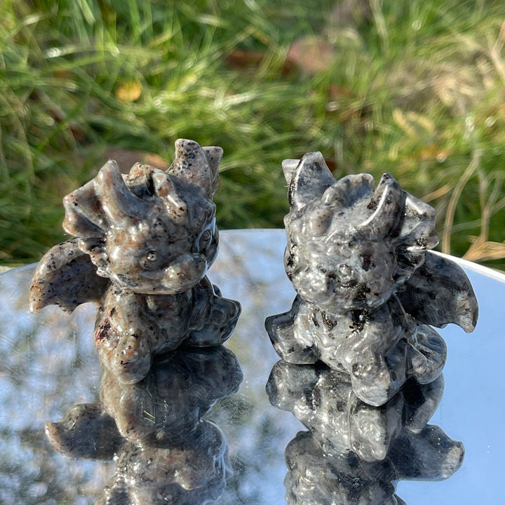 Natural Seated Baby Dragon