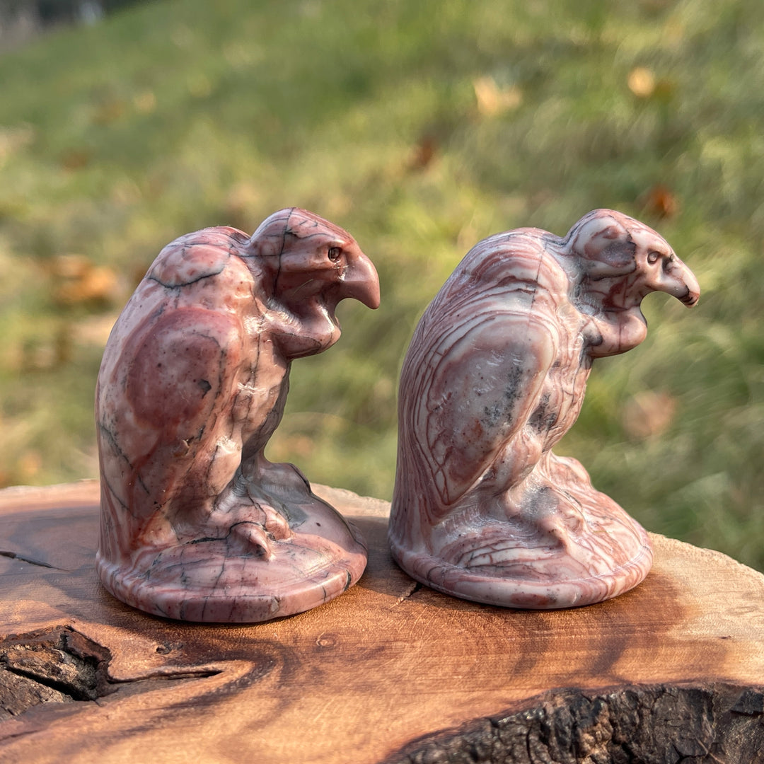 Natural Picture Jasper Vulture Figurine