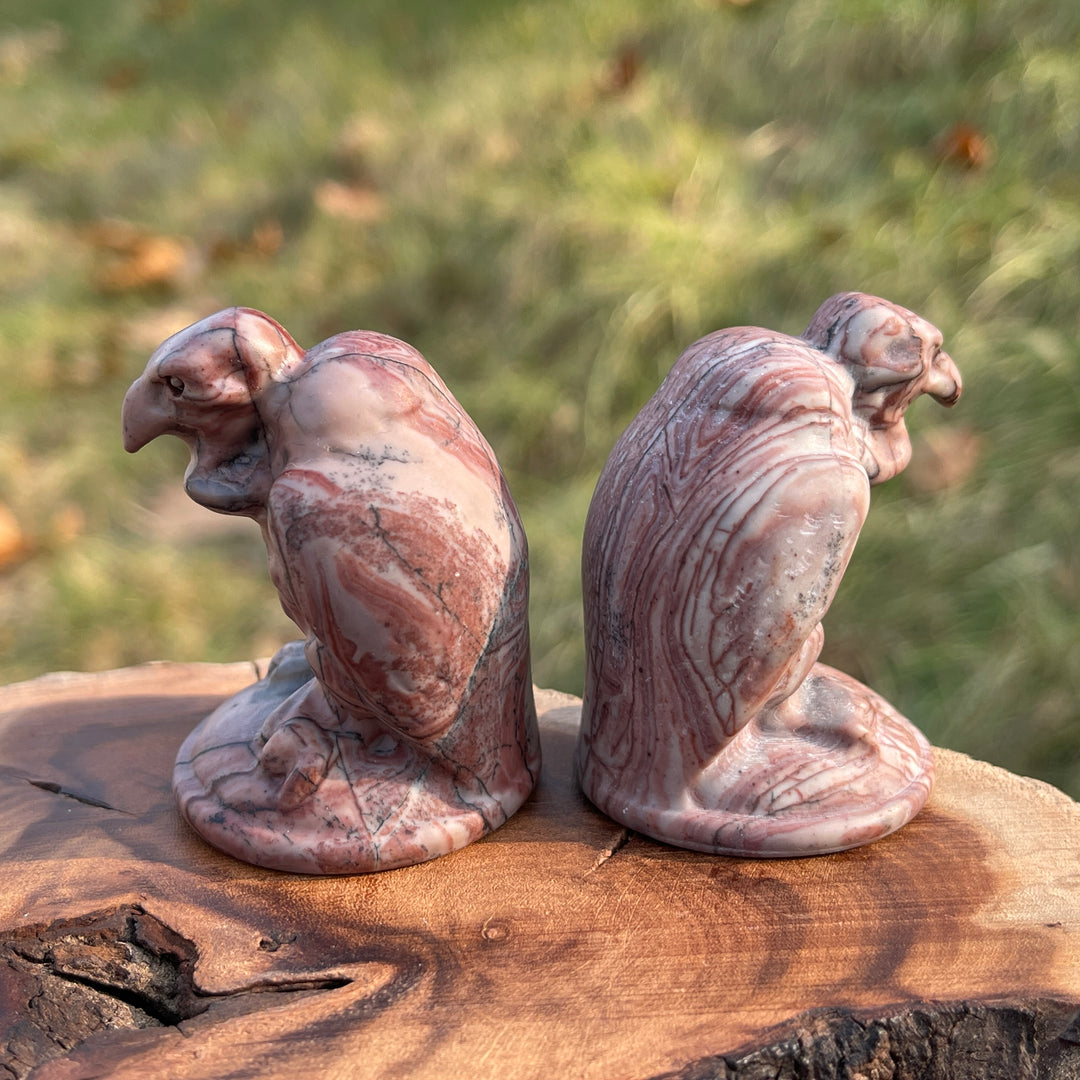 Natural Picture Jasper Vulture Figurine