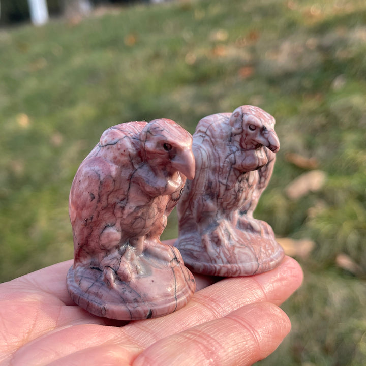 Natural Picture Jasper Vulture Figurine