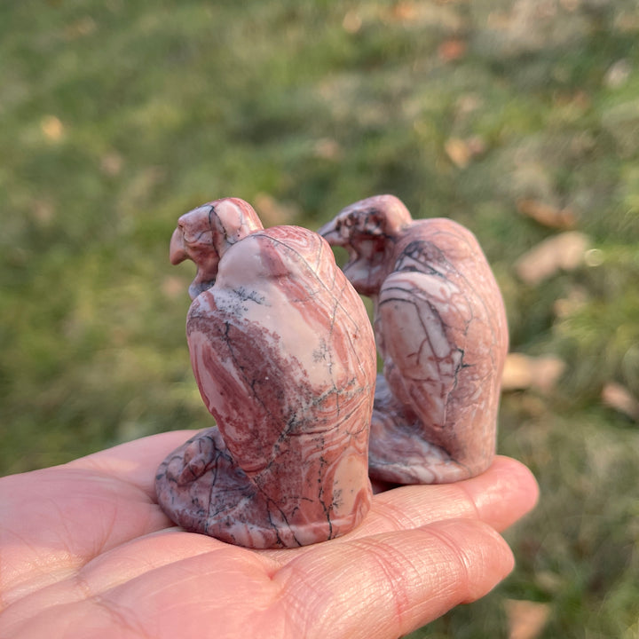 Natural Picture Jasper Vulture Figurine