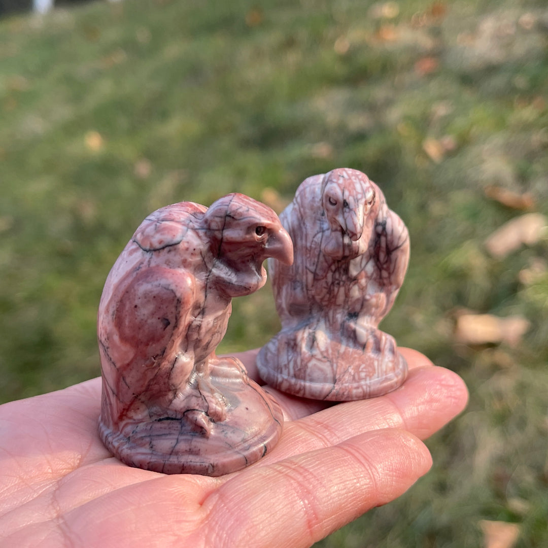 Natural Picture Jasper Vulture Figurine