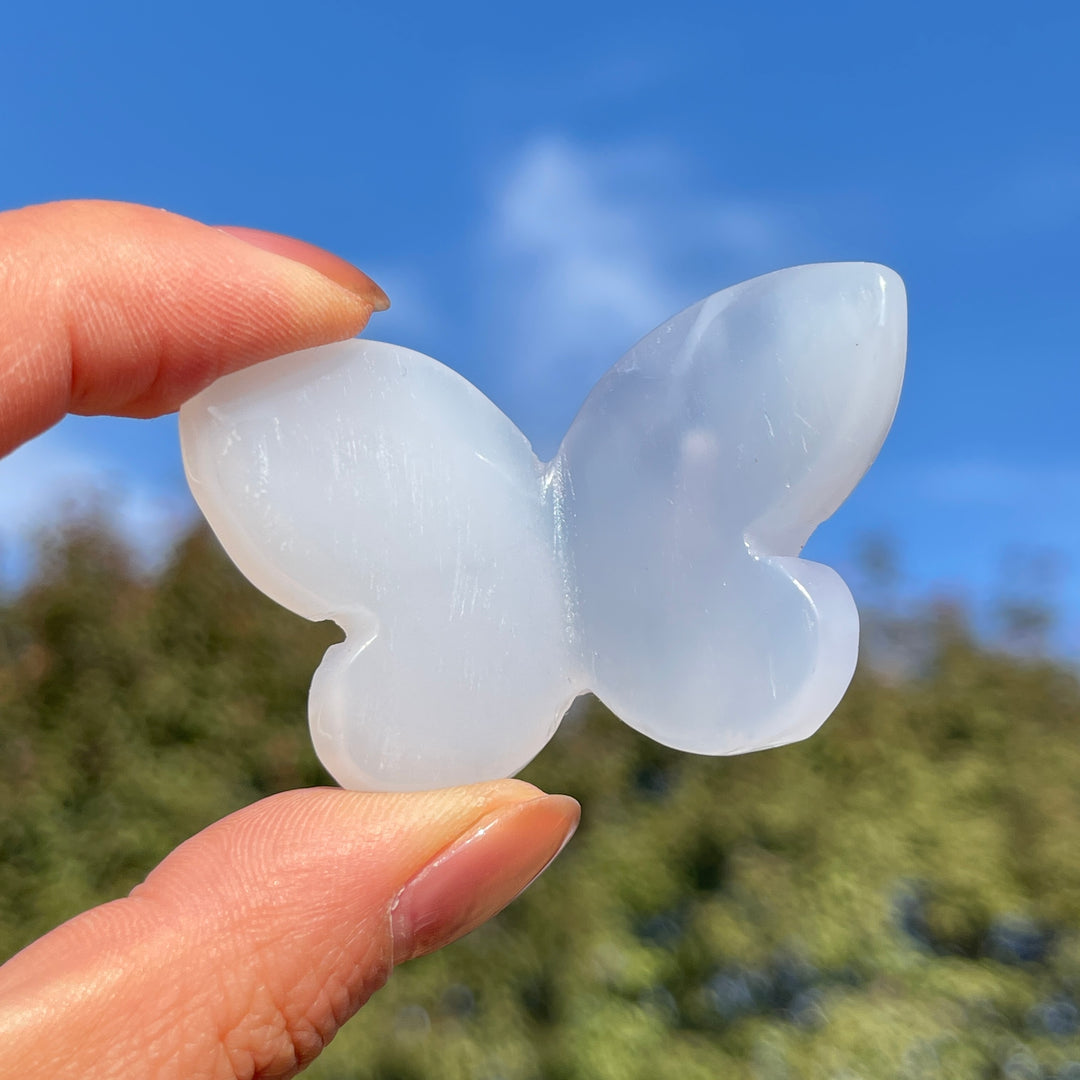 Natural Blue Chalcedony 3D Butterfly