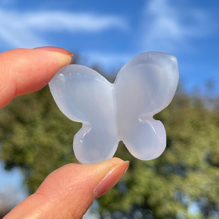 Natural Blue Chalcedony 3D Butterfly