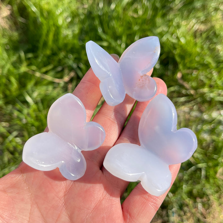 Natural Blue Chalcedony 3D Butterfly