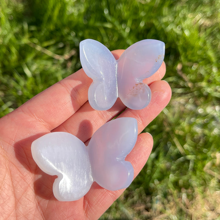 Natural Blue Chalcedony 3D Butterfly