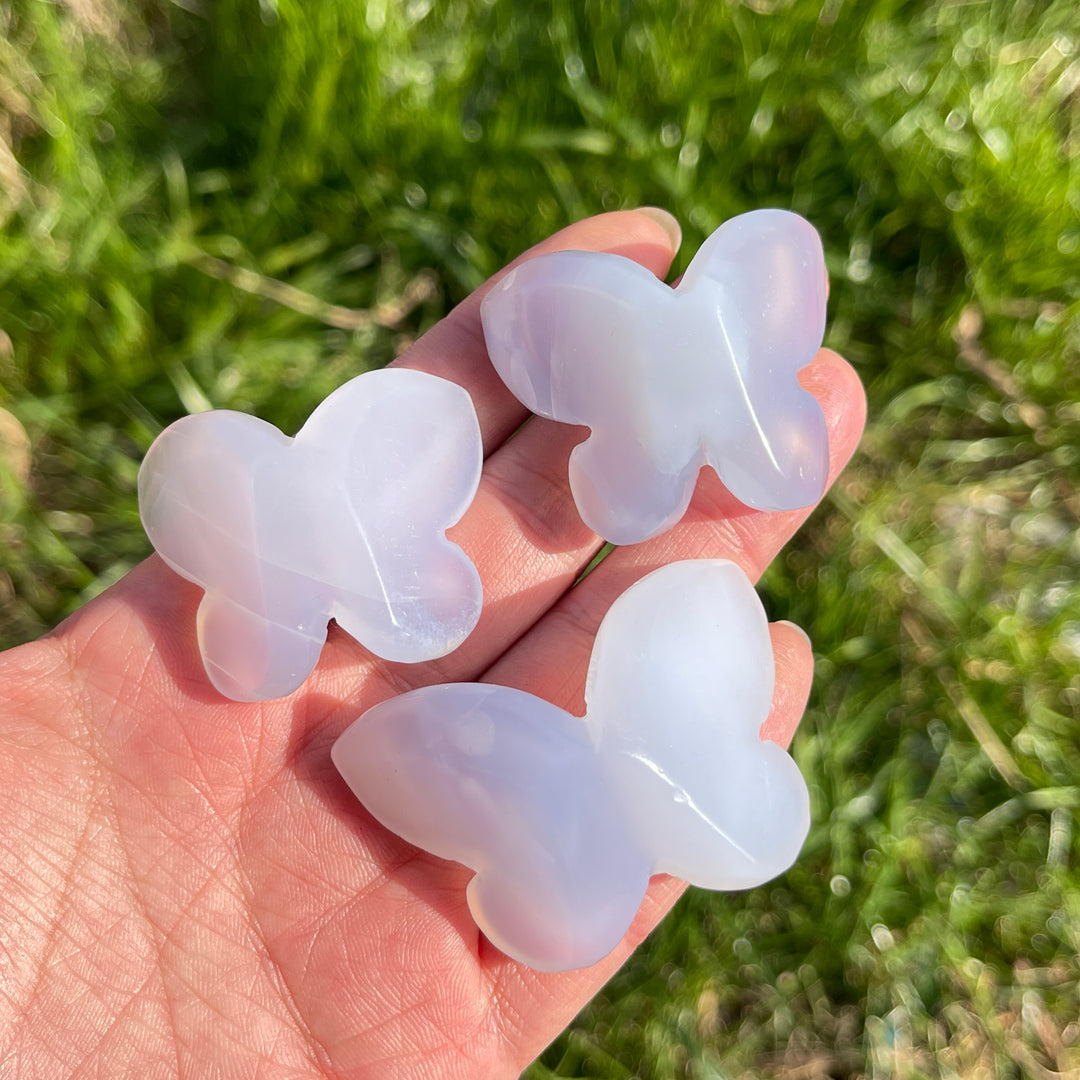 Natural Blue Chalcedony 3D Butterfly