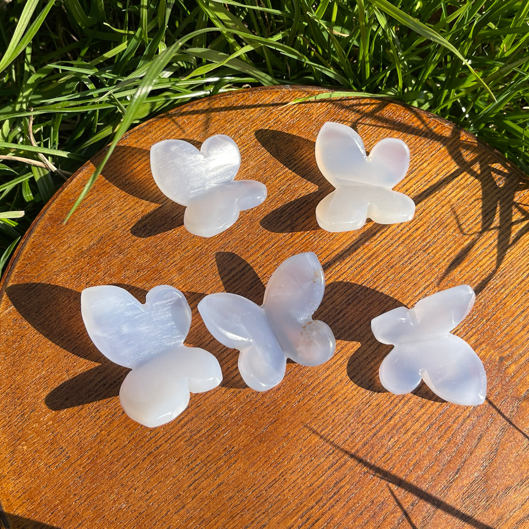 Natural Blue Chalcedony 3D Butterfly