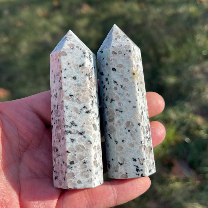 Natural Kiwi Jasper Point