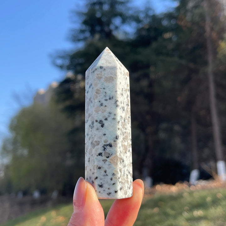 Natural Kiwi Jasper Point