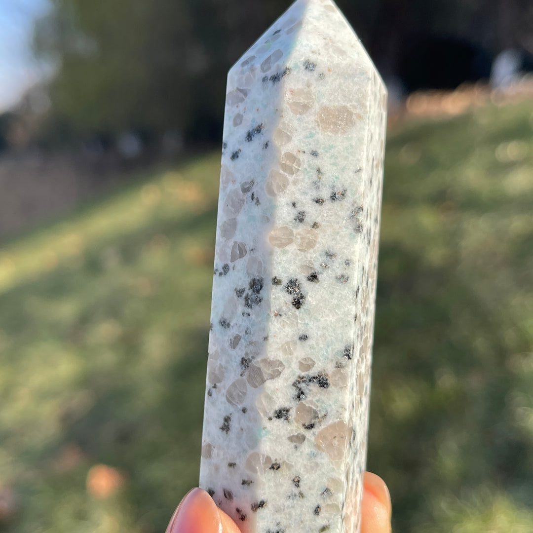 Natural Kiwi Jasper Point