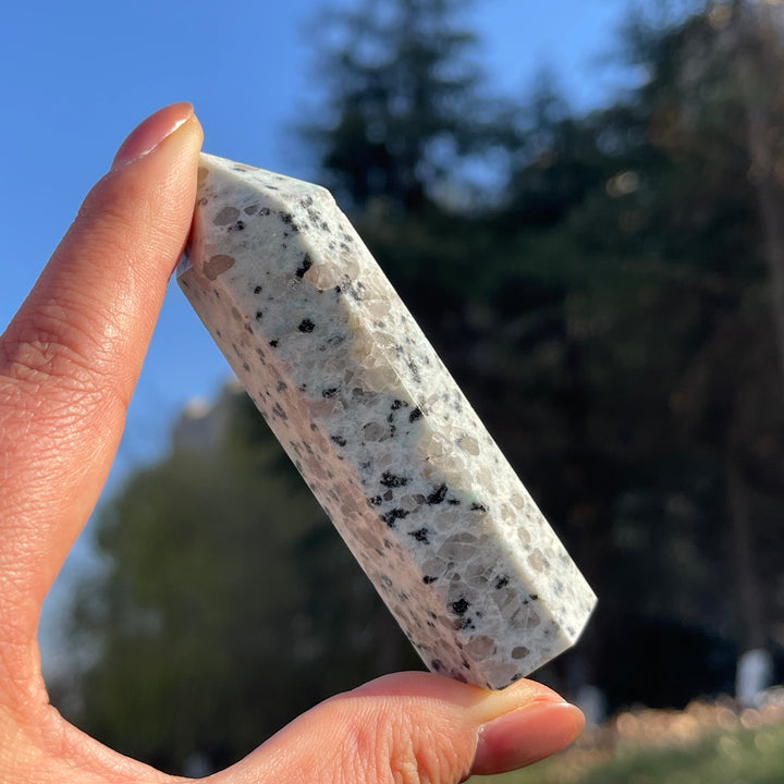 Natural Kiwi Jasper Point