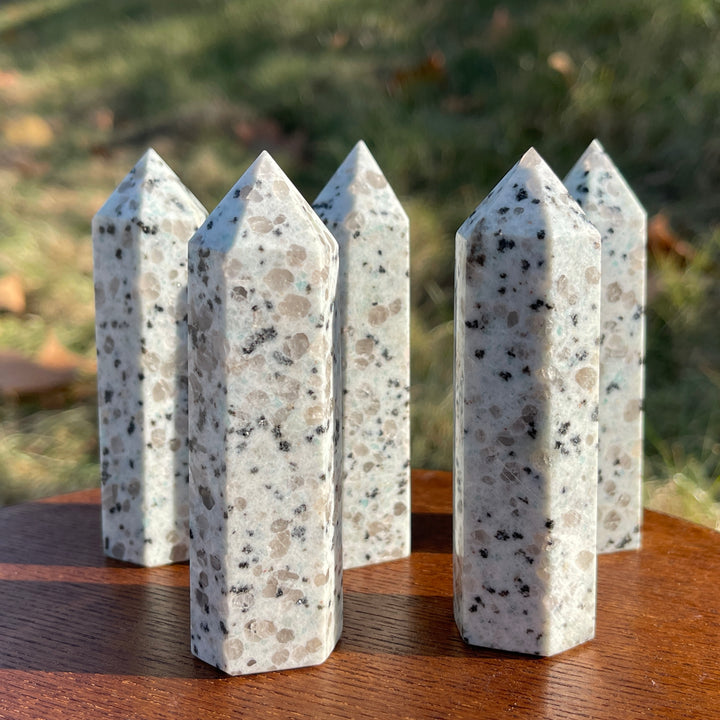 Natural Kiwi Jasper Point